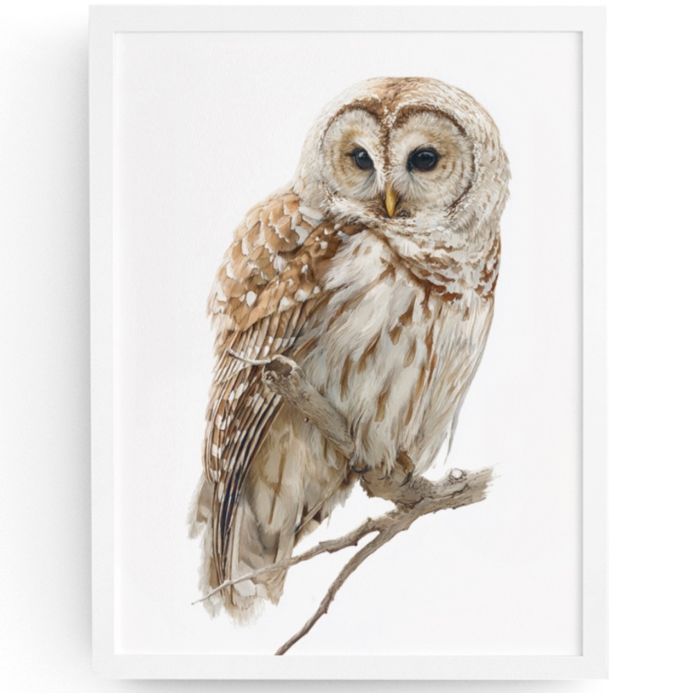 Watercolor Barred Owl Portrait Wall Art Print, Unframed - Mystical Woodland